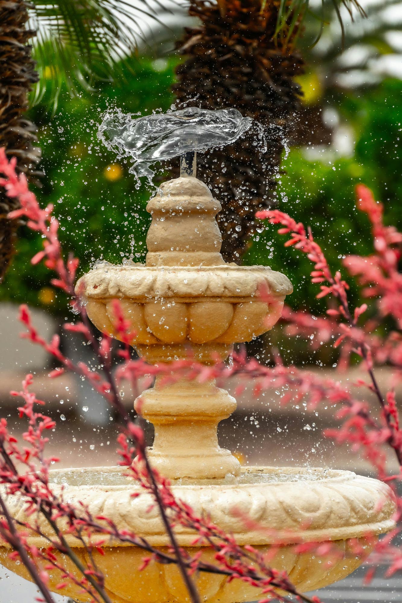fontaines et poteries pour jardin a quebec