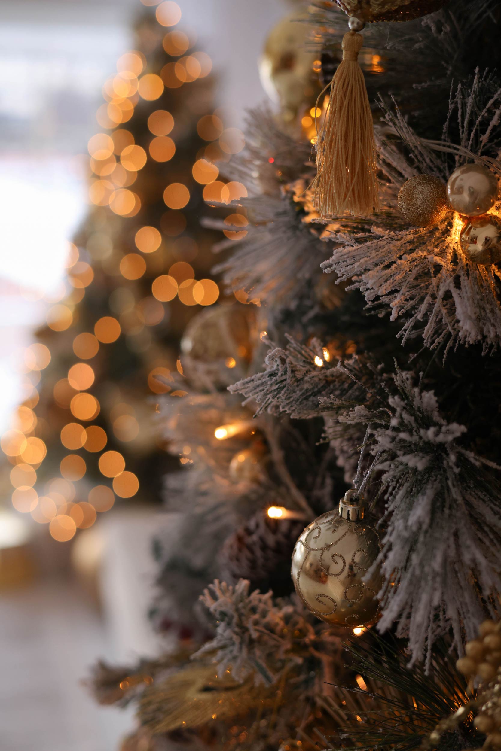 arbres et sapins de noel a quebec