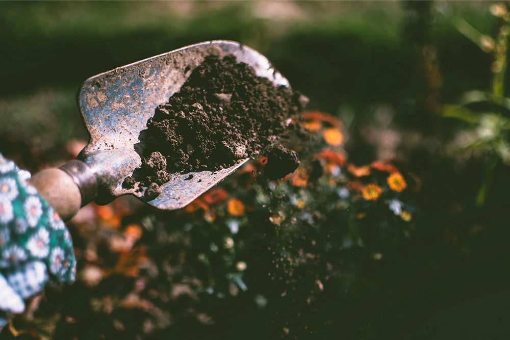 compost marin a quebec