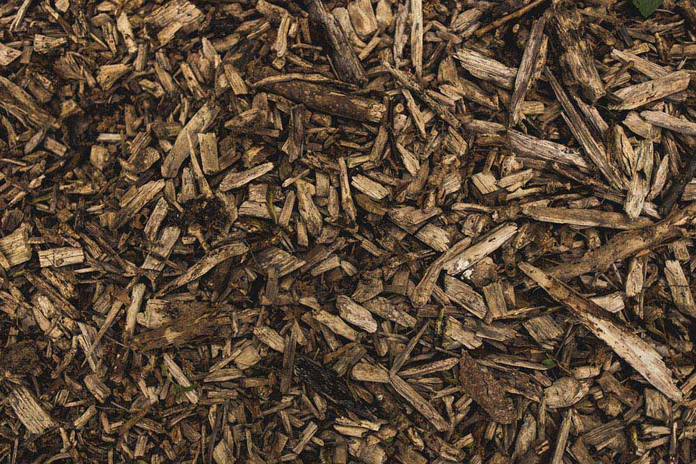 paillis forestier a quebec